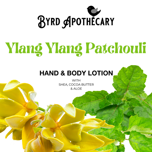 Graphic of Byrd Apothecary Ylang Ylang Patchouli Hand & Body Lotion - with Shea, Cocoa Butter & Aloe. The background is yellow ylang ylang flowers and patchouli leaves.